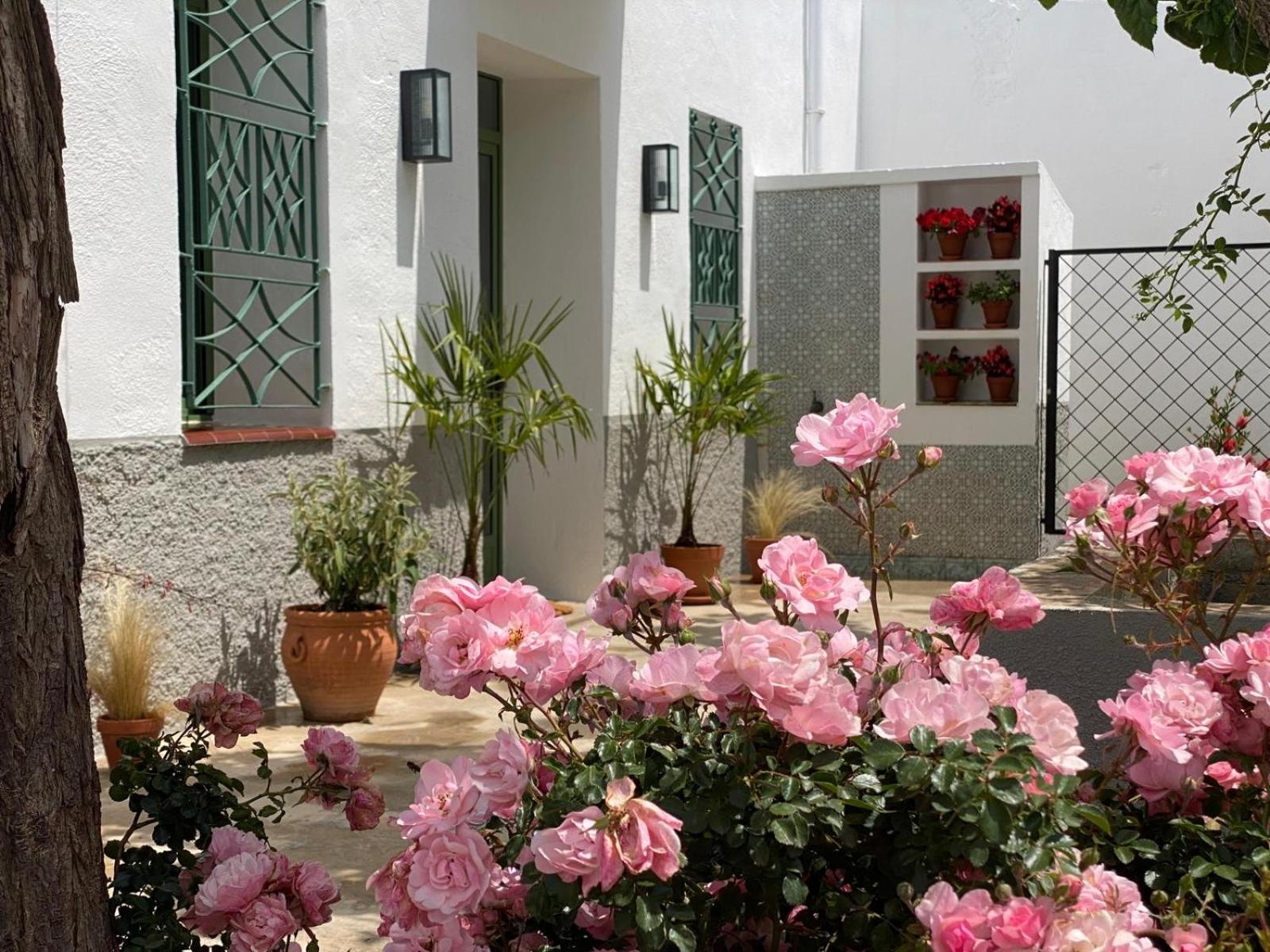 Les Filles Hotel Deltebre Exterior photo